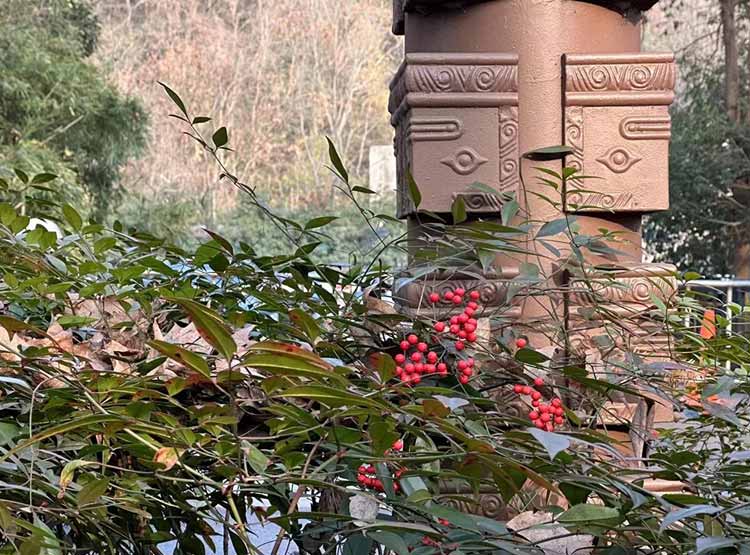 沈陽文化墻設(shè)計的要點(diǎn)？